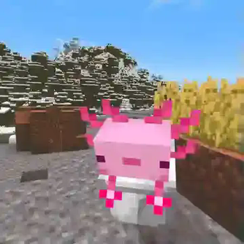 Axolotl