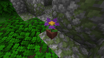 Potted flower