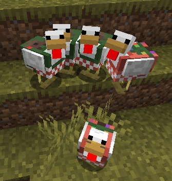 Chickens