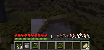 Consuming porkchop