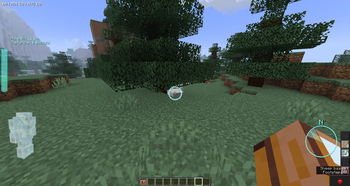 Is that a sheep