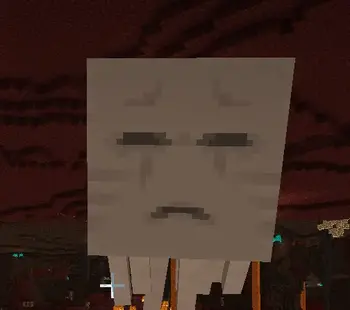 Ghast in Nether