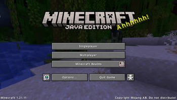 1.21.11 Title Screen