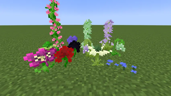 A Group of new Flowers