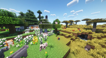 2.0.4 Feature Image