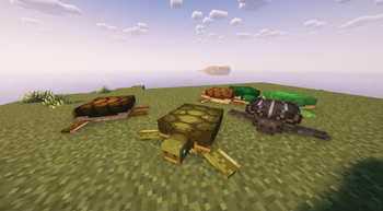 2.0.2 Feature Image