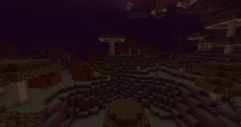 Fungi Forest