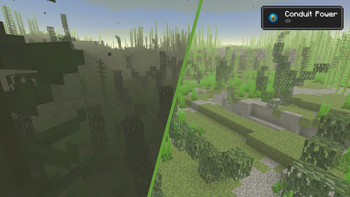 Forest Biome