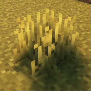 example with shaders