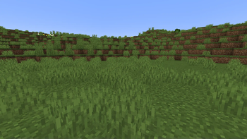 with the resource pack on