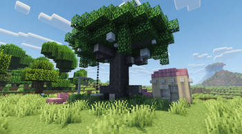 Mulberry Tree
