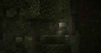 Jungle