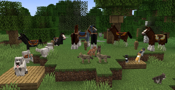 V0.6 Update