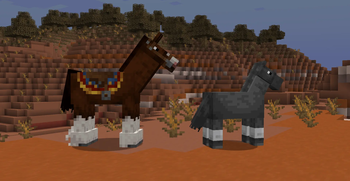 Clydesdale Compared to regular horse