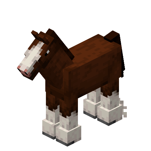 Clydesdale Horse