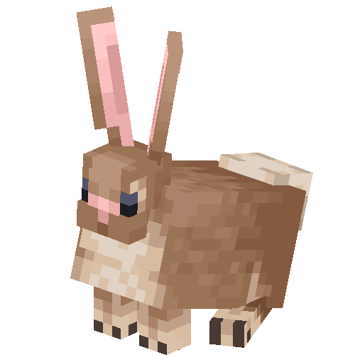 Flemish Giant Rabbit