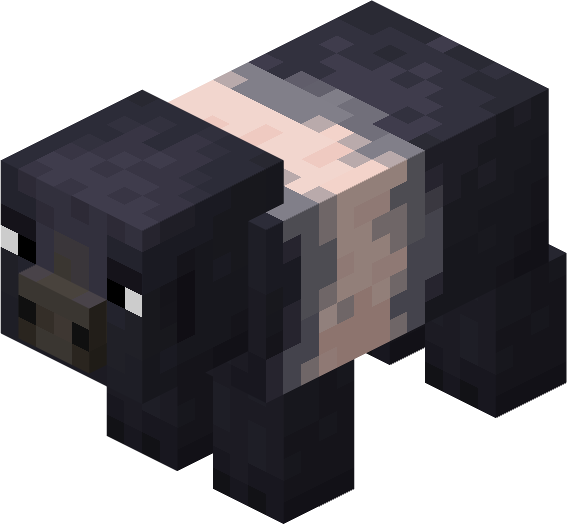 Hampshire Pig