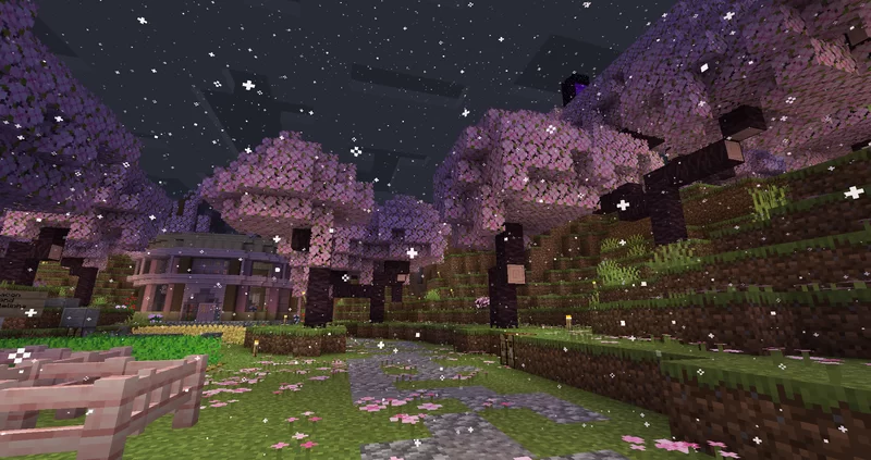 Rain to Snow Image