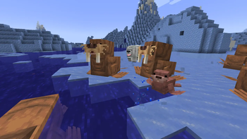 A group of walrus running away from a polar bear