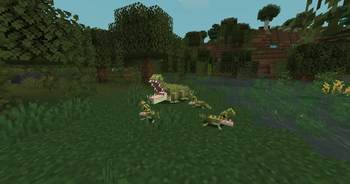 Croc Family
