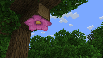 Modified Forest