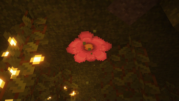 Modified Cave Shaders