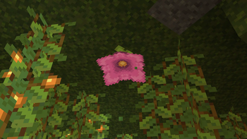 Vanilla Cave