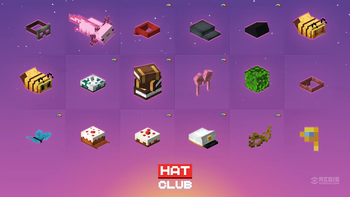 Hats