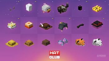 Hats