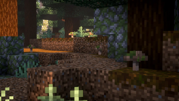 Mossy Forest