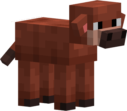 Warm Calf