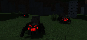 spider