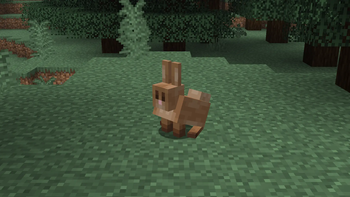 Old Rabbit Texture