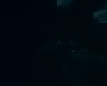 Subtle flower glow at night