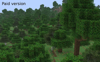 Plus Version