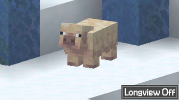 Longview Comparison (Off)
