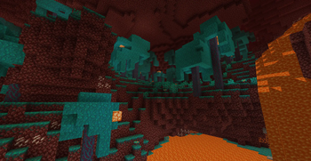 Warped Forest