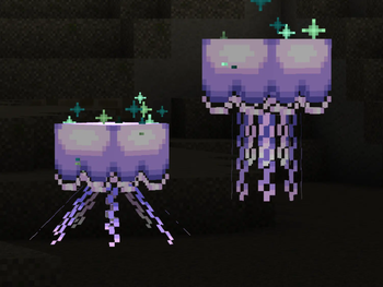 Jellyfish swimming