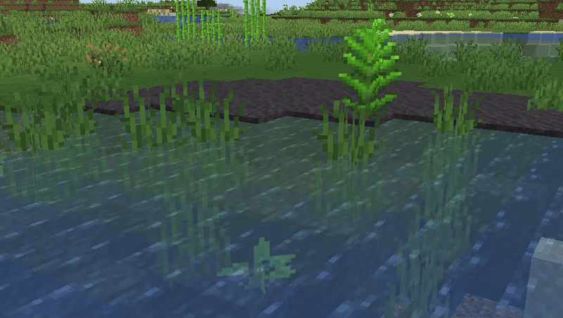 Wetland Biome