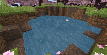 Koi Pond in a Cherry Grove