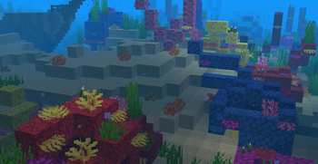 3 New Corals!