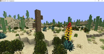 Saguaro Desert Biome