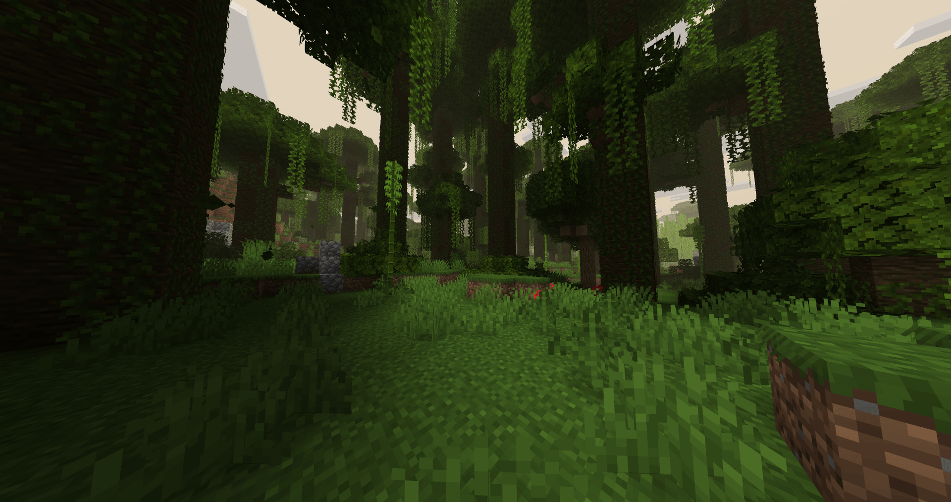 Jungle