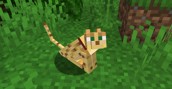 Pet Ocelots