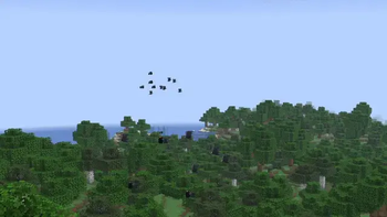 birds flocking
