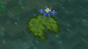 A beautiful blue flower