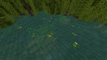 A mangrove swamp