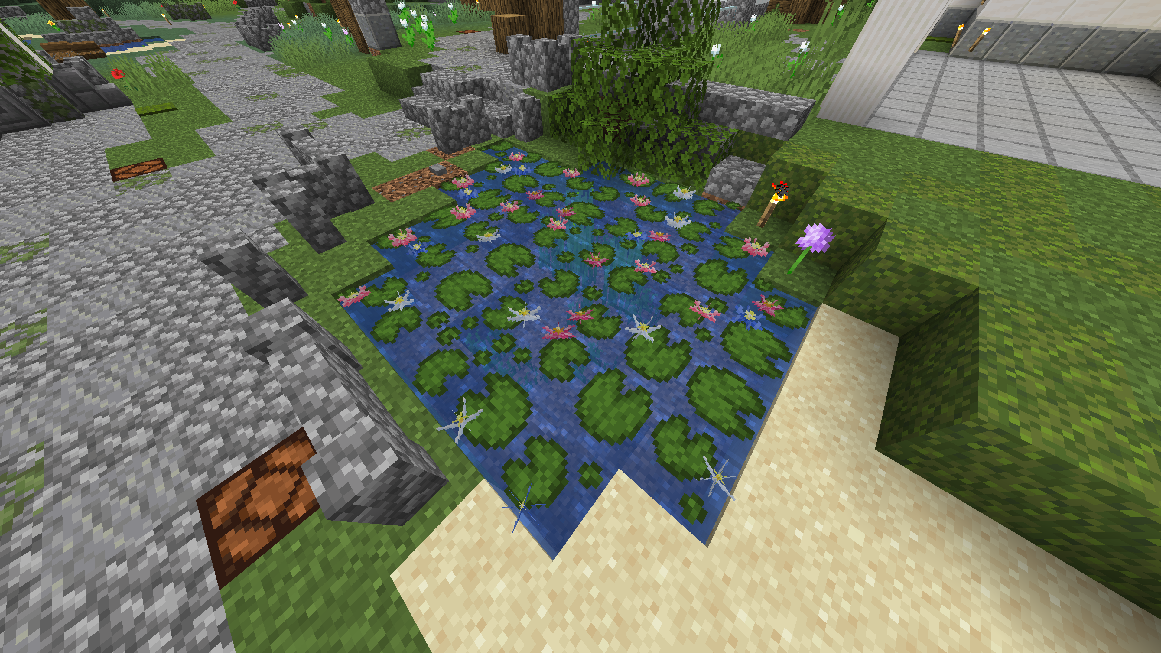 A lake full of flowering lily pads
