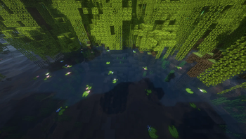 Better Lily Pads + BSL Shaders
