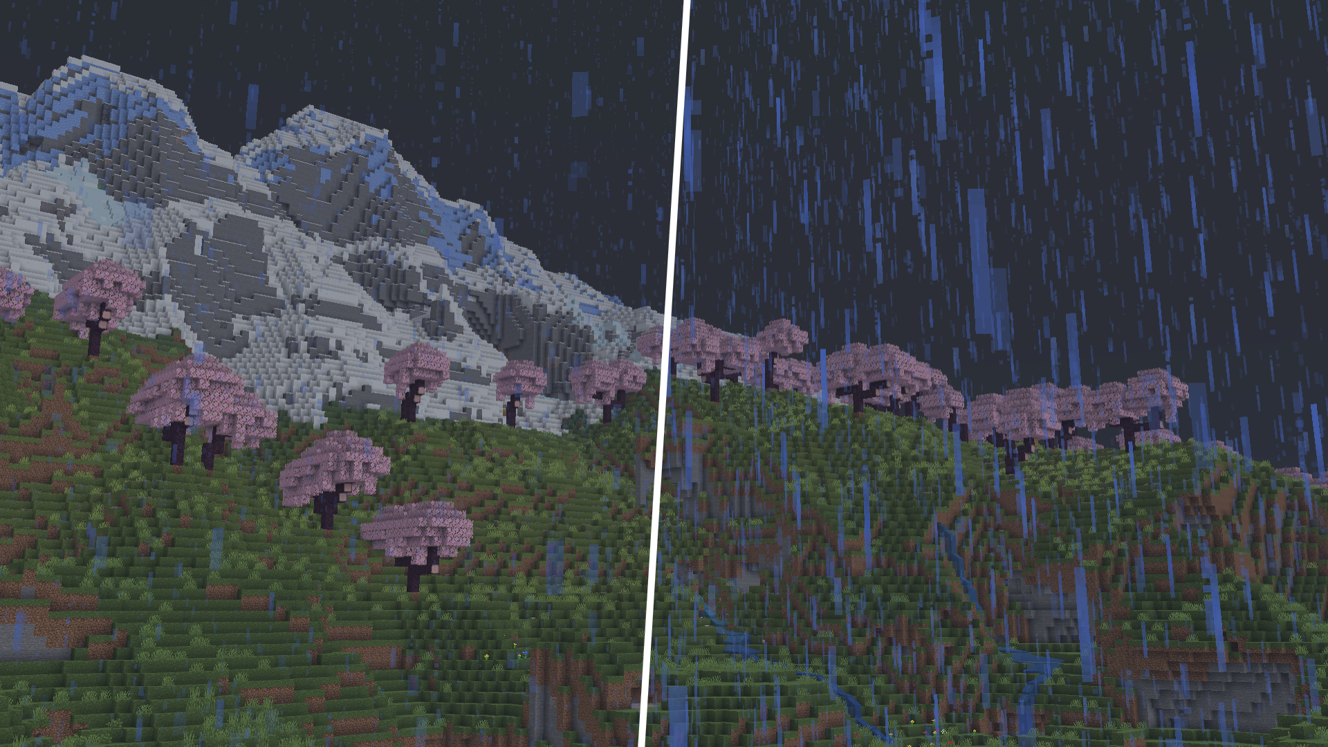 Rain Comparison